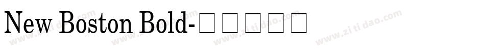 New Boston Bold字体转换